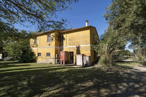 Villa a Scansano, Grosseto, Scansano - € 2.170.000 | Ref: D70-685416 - foto 25