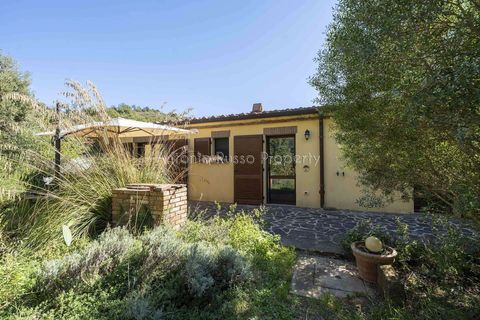 Villa a Scansano, Grosseto, Scansano - € 2.170.000 | Ref: D70-685416 - foto 28