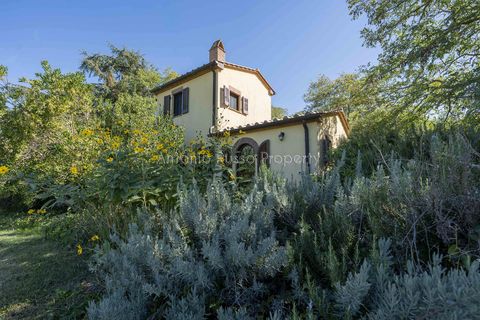 Villa a Scansano, Grosseto, Scansano - € 2.170.000 | Ref: D70-685416 - foto 32