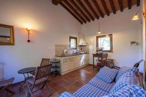 Villa a Scansano, Grosseto, Scansano - € 2.170.000 | Ref: D70-685416 - foto 35