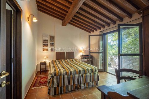 Villa a Scansano, Grosseto, Scansano - € 2.170.000 | Ref: D70-685416 - foto 36