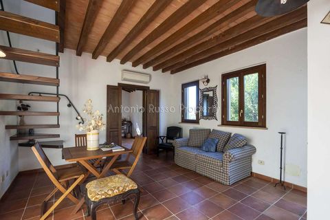 Villa a Scansano, Grosseto, Scansano - € 2.170.000 | Ref: D70-685416 - foto 40