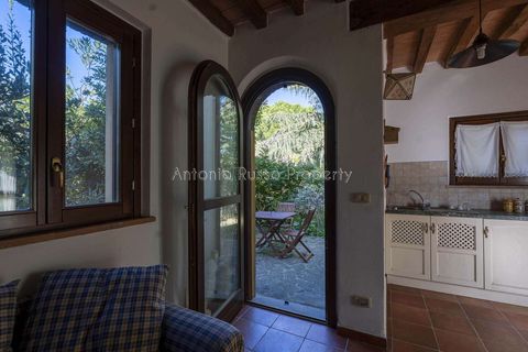 Villa a Scansano, Grosseto, Scansano - € 2.170.000 | Ref: D70-685416 - foto 41