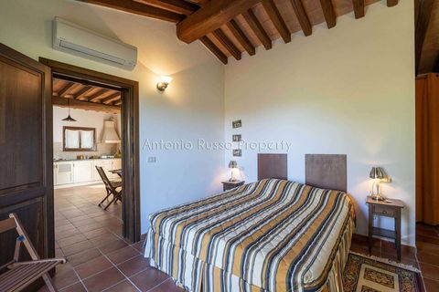 Villa a Scansano, Grosseto, Scansano - € 2.170.000 | Ref: D70-685416 - foto 42