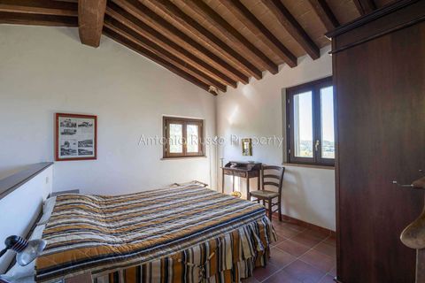 Villa a Scansano, Grosseto, Scansano - € 2.170.000 | Ref: D70-685416 - foto 43