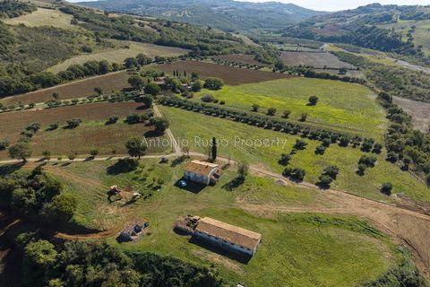 Villa a Scansano, Grosseto, Scansano - € 2.170.000 | Ref: D70-685416 - foto 48
