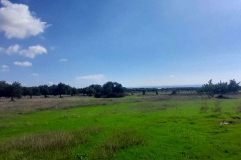 Landejendom i Scicli, Ragusa, Scicli - € 185.000 | Ref: RP-697691-697691 - foto 1