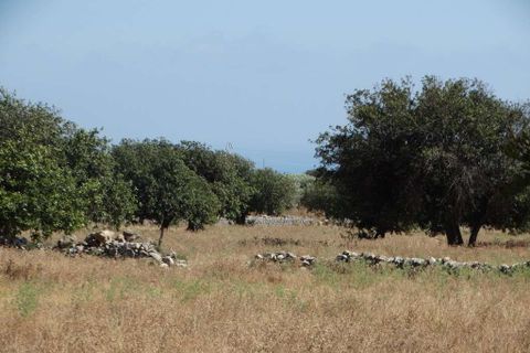 Landejendom i Scicli, Ragusa, Scicli - € 185.000 | Ref: RP-697691-697691 - foto 6