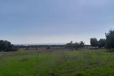 Landejendom i Scicli, Ragusa, Scicli - € 185.000 | Ref: RP-697691-697691 - foto 9
