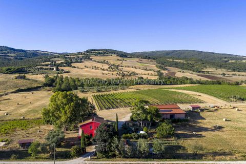 Villa i Scansano, Grosseto, Scansano - € 820.000 | Ref: D68-699799 - foto 2