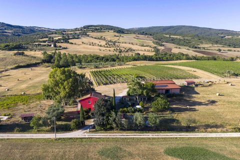 Villa i Scansano, Grosseto, Scansano - € 820.000 | Ref: D68-699799 - foto 3