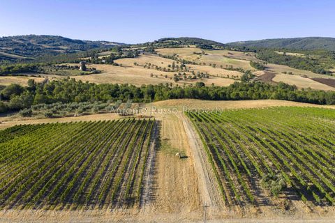 Villa i Scansano, Grosseto, Scansano - € 820.000 | Ref: D68-699799 - foto 4