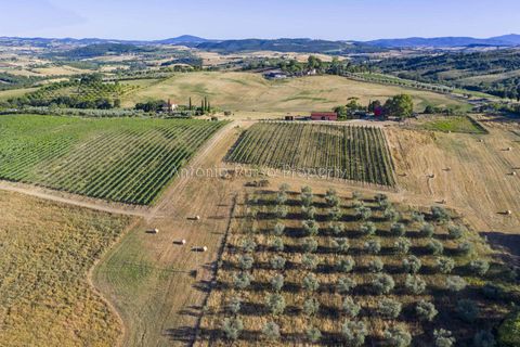 Villa i Scansano, Grosseto, Scansano - € 820.000 | Ref: D68-699799 - foto 6
