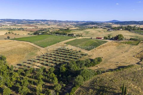 Villa i Scansano, Grosseto, Scansano - € 820.000 | Ref: D68-699799 - foto 7