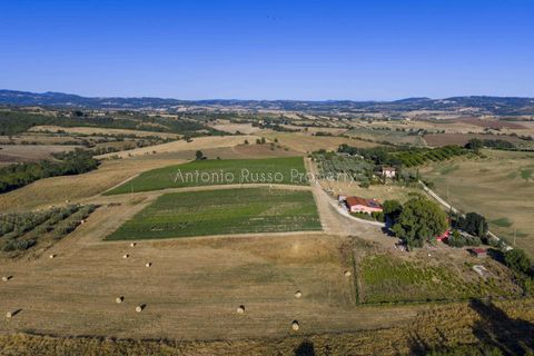 Villa i Scansano, Grosseto, Scansano - € 820.000 | Ref: D68-699799 - foto 8