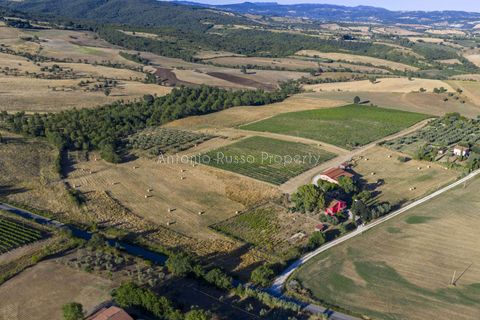 Villa i Scansano, Grosseto, Scansano - € 820.000 | Ref: D68-699799 - foto 9