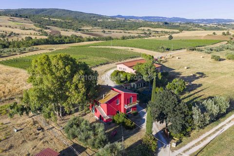 Villa i Scansano, Grosseto, Scansano - € 820.000 | Ref: D68-699799 - foto 10