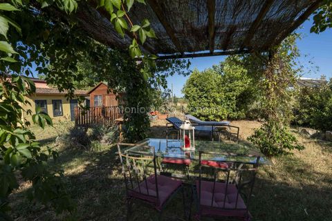 Villa i Scansano, Grosseto, Scansano - € 820.000 | Ref: D68-699799 - foto 19