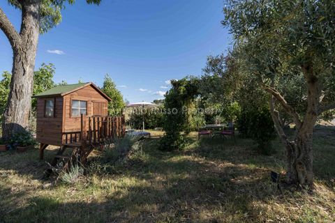 Villa i Scansano, Grosseto, Scansano - € 820.000 | Ref: D68-699799 - foto 20