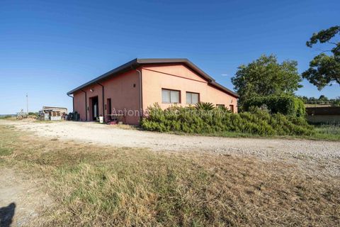 Villa i Scansano, Grosseto, Scansano - € 820.000 | Ref: D68-699799 - foto 30