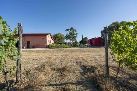 Villa i Scansano, Grosseto, Scansano - € 820.000 | Ref: D68-699799 - foto 31