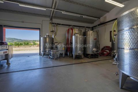 Villa i Scansano, Grosseto, Scansano - € 820.000 | Ref: D68-699799 - foto 34