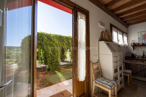 Villa i Scansano, Grosseto, Scansano - € 820.000 | Ref: D68-699799 - foto 43