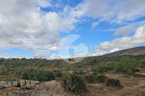 Helårsgrund i Moncarapacho, Faro, Moncarapacho - € 5.000.000 | Ref: 360P-1443 - foto 1