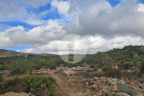 Helårsgrund i Moncarapacho, Faro, Moncarapacho - € 5.000.000 | Ref: 360P-1443 - foto 2