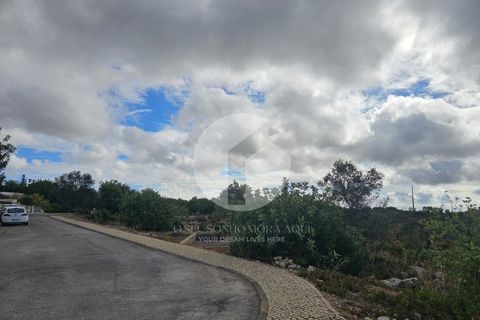 Helårsgrund i Moncarapacho, Faro, Moncarapacho - € 5.000.000 | Ref: 360P-1443 - foto 4