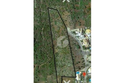 Helårsgrund i Moncarapacho, Faro, Moncarapacho - € 5.000.000 | Ref: 360P-1443 - foto 8