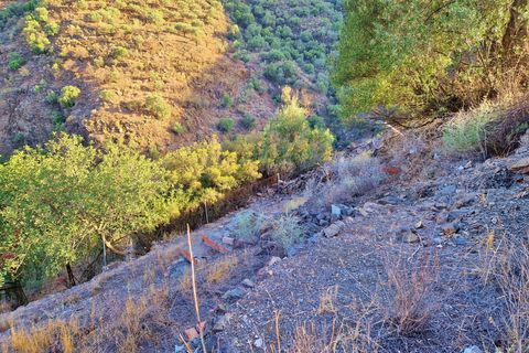 Landsbyhus i Canillas De Aceituno, Malaga, Canillas De Aceituno - € 54.000 | Ref: AX1410 - foto 31