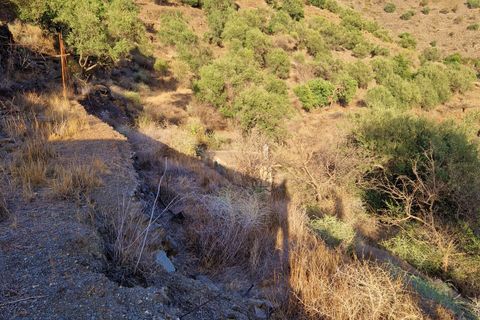 Landsbyhus i Canillas De Aceituno, Malaga, Canillas De Aceituno - € 54.000 | Ref: AX1410 - foto 27