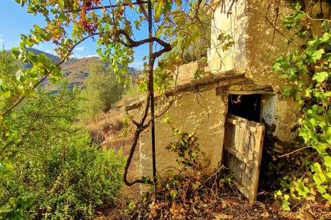 Landsbyhus i Canillas De Aceituno, Malaga, Canillas De Aceituno - € 54.000 | Ref: AX1410 - foto 24