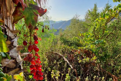 Landsbyhus i Canillas De Aceituno, Malaga, Canillas De Aceituno - € 54.000 | Ref: AX1410 - foto 23