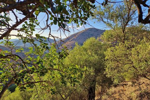 Landsbyhus i Canillas De Aceituno, Malaga, Canillas De Aceituno - € 54.000 | Ref: AX1410 - foto 30