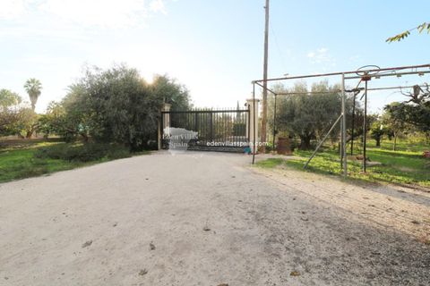 Landejendom i Elche, Alicante, Elche - € 275.000 | Ref: 5336 - foto 11