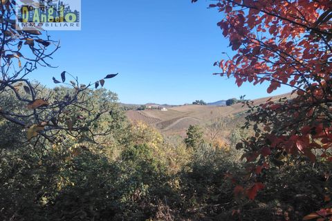 Landejendom i Offida, Ascoli Piceno, Offida - € 75.000 | Ref: 132 - foto 21