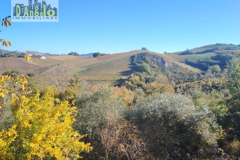 Landejendom i Offida, Ascoli Piceno, Offida - € 75.000 | Ref: 132 - foto 23