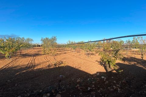 Byhus i Casamassima, Bari, Casamassima - € 55.000 | Ref: 5124 - foto 12