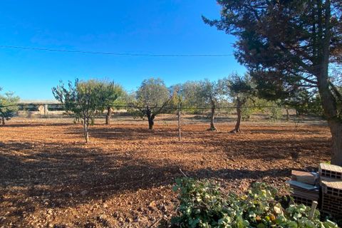 Byhus i Casamassima, Bari, Casamassima - € 55.000 | Ref: 5124 - foto 14