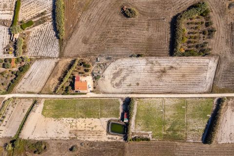 Villa i Rogil, Faro, Rogil - € 585.000 | Ref: ON-123041042-50 - foto 2
