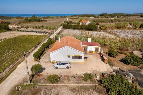 Villa i Rogil, Faro, Rogil - € 585.000 | Ref: ON-123041042-50 - foto 5
