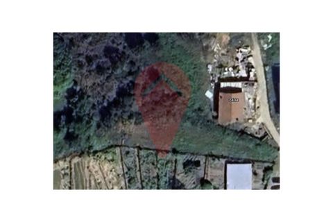 Terra a Fontoura, Viana do Castelo, Fontoura - € 30.000 | Ref: TER_290 - foto 2