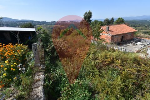 Terra a Fontoura, Viana do Castelo, Fontoura - € 30.000 | Ref: TER_290 - foto 4
