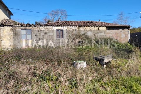 Villa i Ponte de Lima, Viana do Castelo, Ponte de Lima - € 85.000 | Ref: CAS_964 - foto 3