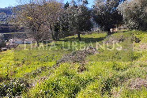Villa i Ponte de Lima, Viana do Castelo, Ponte de Lima - € 85.000 | Ref: CAS_964 - foto 5