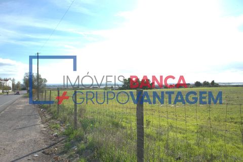 Rækkehus i Montijo, Setubal, Montijo - € 435.000 | Ref: M-28026 - foto 6