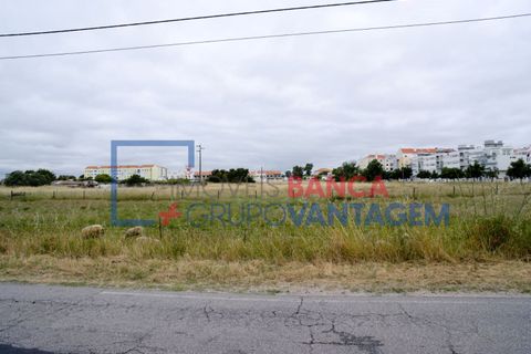 Rækkehus i Montijo, Setubal, Montijo - € 435.000 | Ref: M-28026 - foto 16