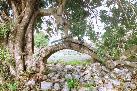 Villa a Scicli, Ragusa, Scicli - € 70.000 | Ref: 215 - foto 5